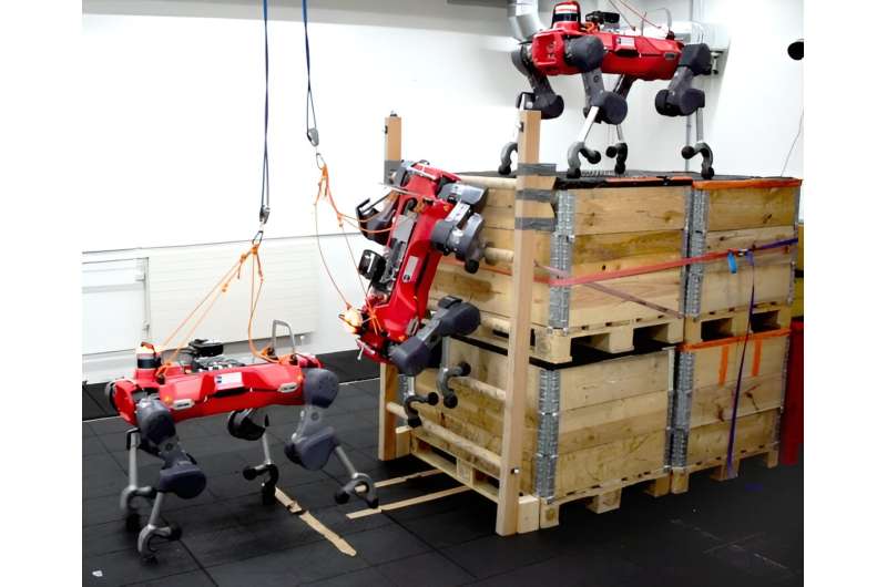 Can A Quadruped Robot Climb Ladders?