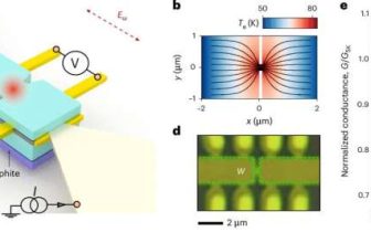 First Terahertz Detection In Graphene