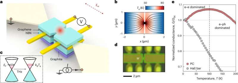 First Terahertz Detection In Graphene