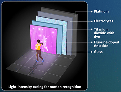 Optoelectronic Human Synaptic Device For Edge AI Sensors