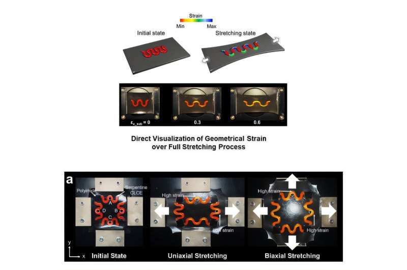 Real-Time Visualization Of Stretchable Electronics