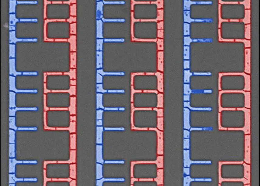 Self-Assembly Technique For 3D Electronics