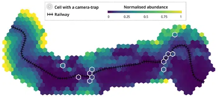 Reducing Animal Collisions With Sensors And AI