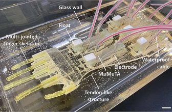 Biohybrid Hand Moves With Lab-Grown Muscles