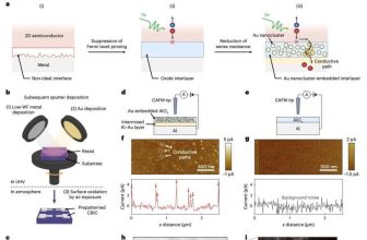 Conductive-Bridge Interlayer Boosts 2D Optoelectronics