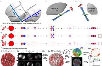 Hybrid Microscope For 3D Imaging