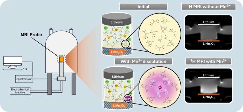 MRI Unlocks Lithium-Ion Battery Performance