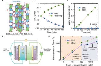 Sustainable Lithium Extraction For EV Batteries