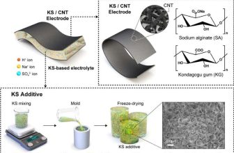 Tree Gum Powers Greener Supercapacitors