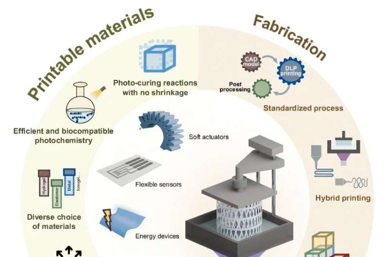 DLP Printing Enables Flexible Future DLP Printing Enables Flexible Future