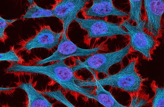 Precise Gene Therapy Control